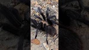 Video post by @accuweather on YouTube