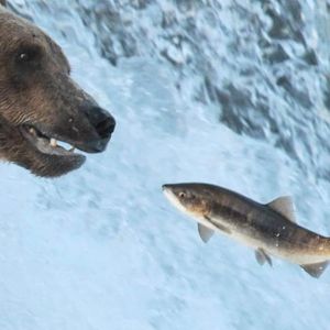 Image post by @nationalparkservice on Instagram