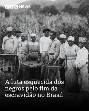 Image post by @bbcbrasil on Instagram