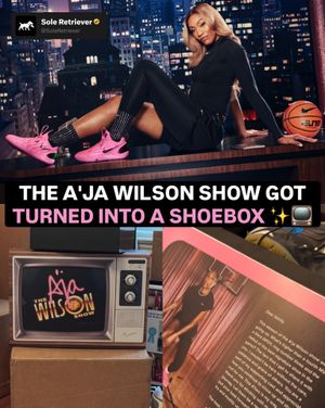 Image post by @soleretriever on Instagram