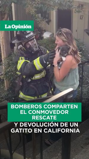 Image post by @laopinionla on Instagram