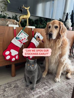 Image post by @petsmart on Instagram