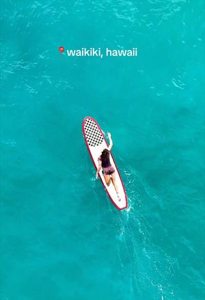 Video post by @allisonhollandmedia on TikTok