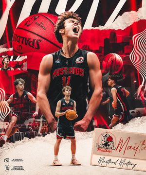 Image post by @lucadesigne_ on Instagram