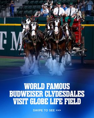 Image post by @rangers on Instagram