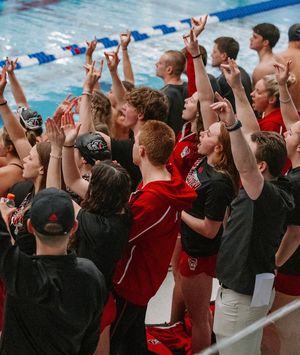 Image post by @packswimdive on Instagram