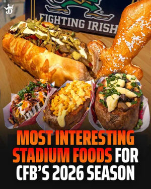 Image post by @draftkings on TikTok
