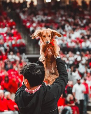 Image post by @texastechathletics on Instagram