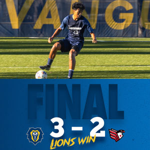 Image post by @vulions on Instagram