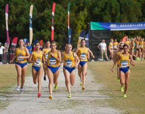 Image post by @pitt_tf_xc on Instagram