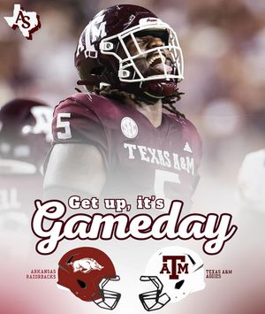 Image post by @aggiessideline on Instagram