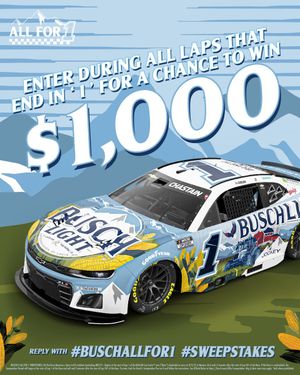 Image post by @BuschBeer on Twitter