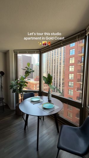 Video post by @smartcitychicago on TikTok