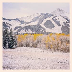 Image post by @skicrestedbutte on Instagram