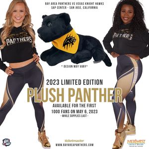 Image post by @panthersifl on Instagram