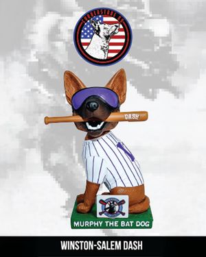 Image post by @wsdashbaseball on Instagram
