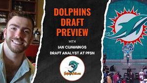 Video post by @dolphinstalk on YouTube