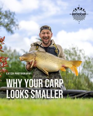 Image post by @brothercarp on Instagram