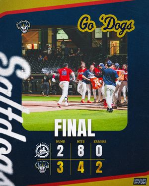 Image post by @saltdogsball on Instagram