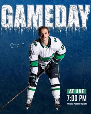 Image post by @endicottmih on Instagram