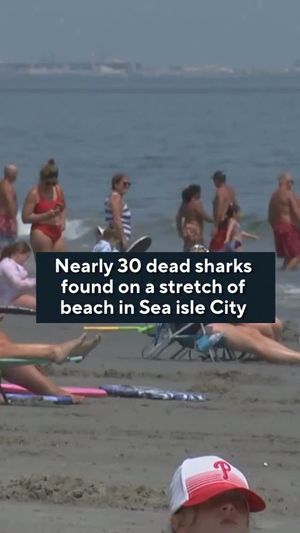 Video post by @cbsphiladelphia on Instagram
