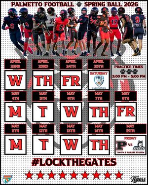 Image post by @palmetto_football on Instagram