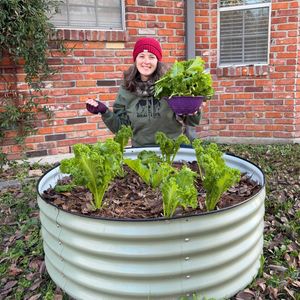 Image post by @annathearcher on Instagram