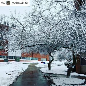 Image post by @montclairstateu on Instagram