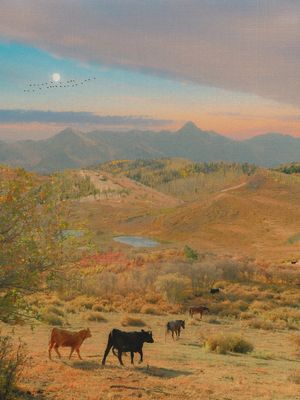 Image post by @alexkittoephotos on Instagram