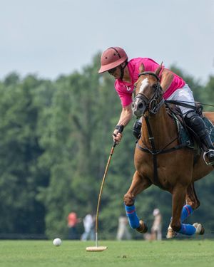 Image post by @greenwichpoloclub on Instagram