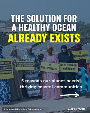 Image post by @greenpeace on Instagram