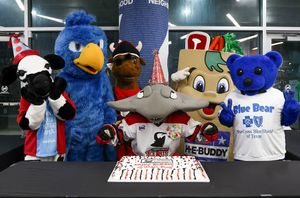 Image post by @iceraysnahl on Instagram