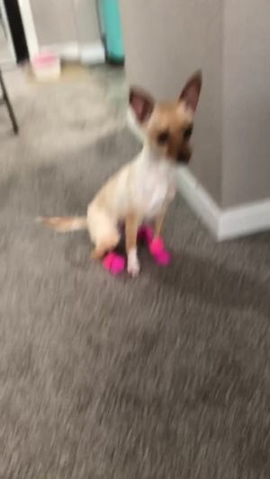 Video post by @oliviamancuso__ on TikTok