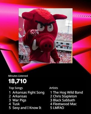 Image post by @razorbackmascots on Instagram