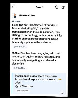 Image post by @neeldire on Instagram