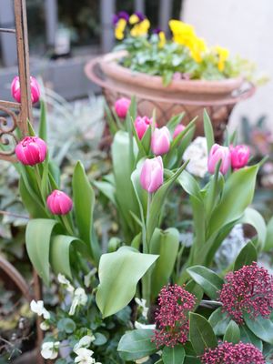 Image post by @kaho_flowerdesigner on Instagram