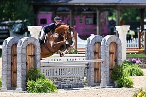 Image post by @kyhorseshows on Instagram