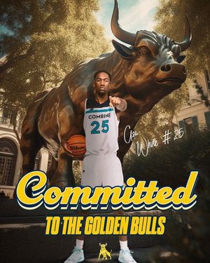 Image post by @combinembb on Instagram