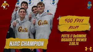 Image post by @suseagulls on Instagram