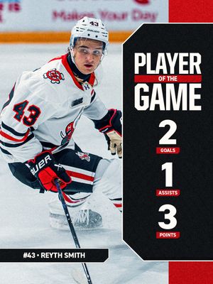 Image post by @ohlicedogs on Instagram