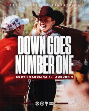 Image post by @gamecockeq on Instagram