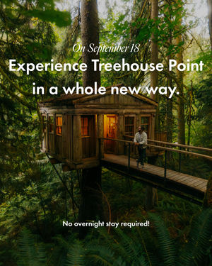 Image post by @treehousepoint on Instagram