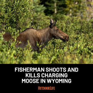 Image post by @outdoor_life on Instagram
