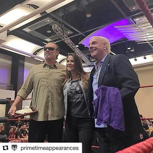 Image post by @stinger on Instagram