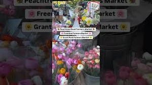 Video post by @catoura on YouTube