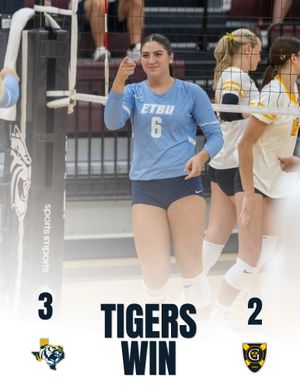 Image post by @goetbutigers on Instagram