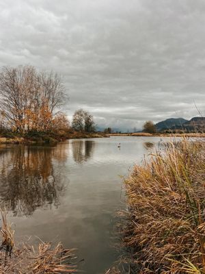 Image post by @tourismabbotsford on Instagram