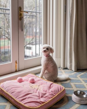 Image post by @langhamsydney on Instagram