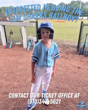 Image post by @ilmsharks on Instagram