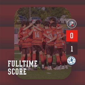 Image post by @lansingcommonfc on Instagram